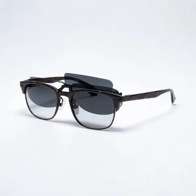 glasses with clip on frames